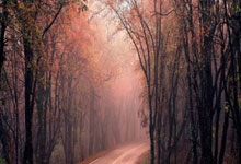 星空体育：加克波为荷兰队出战前37场比赛参与21球，本世纪仅次于亨特拉尔.