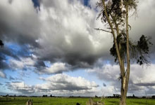 乒乓球——亚洲杯：蒯曼晋级八.