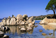 康宁汉姆20+10詹姆斯空砍三双 活塞险胜湖人.